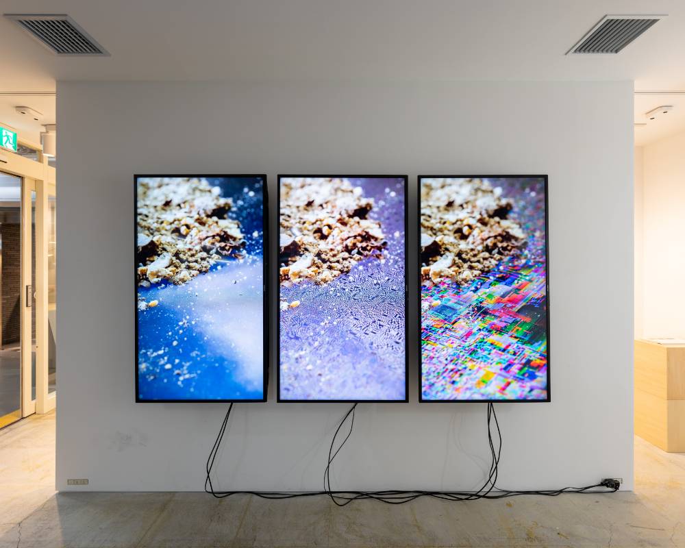 Exhibit. On the wall are three vertical monitors, displaying three variations of the same photo.