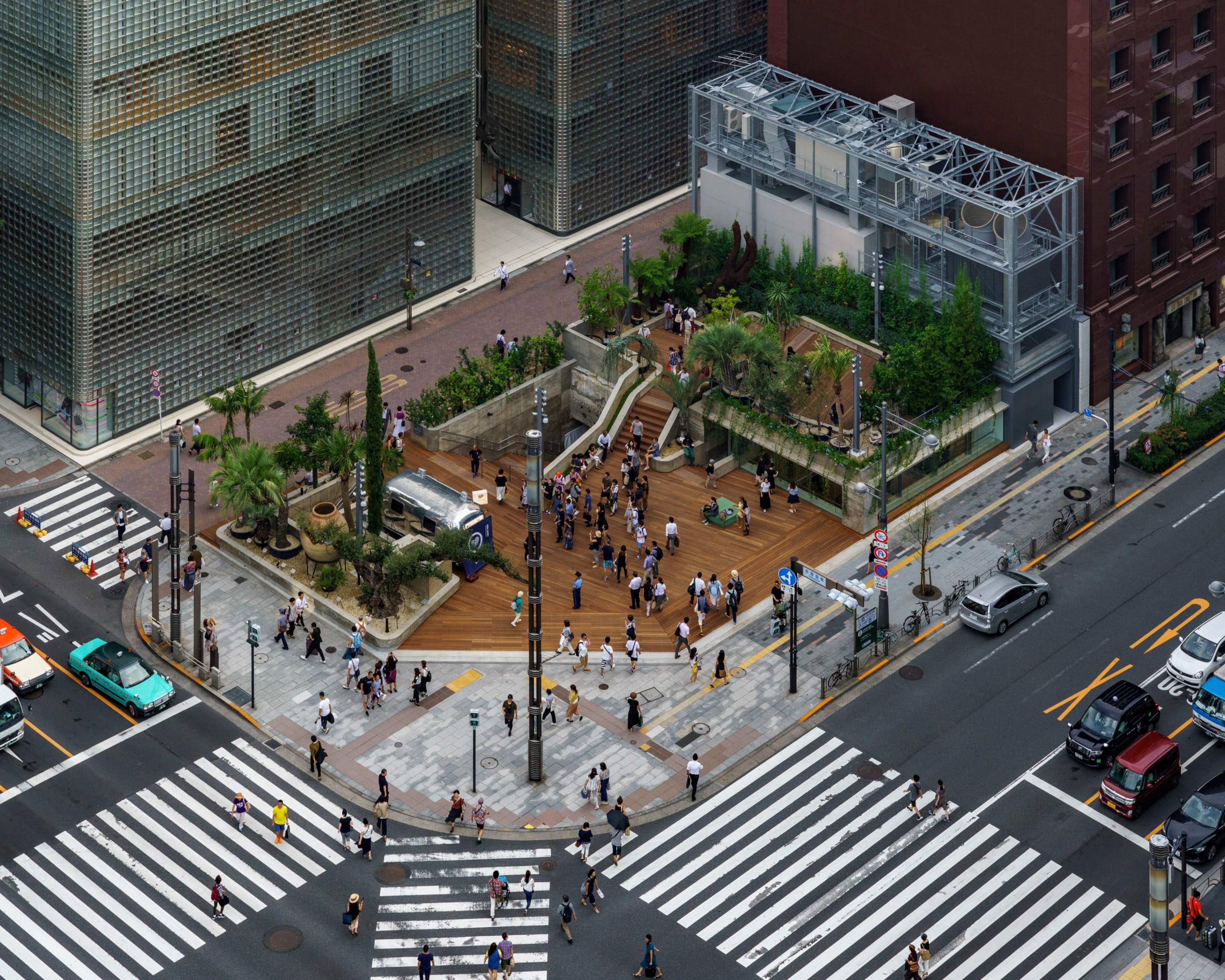 Bird’s eye view. People gather on the wooden deck, with its arrangement of plants and trees.